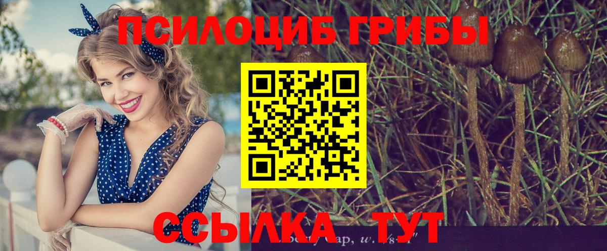 Галлюциногенные грибы мицелий  Псилоцибиновые грибы MAGIC MUSHROOMS  Вход с VPN  Бердск 