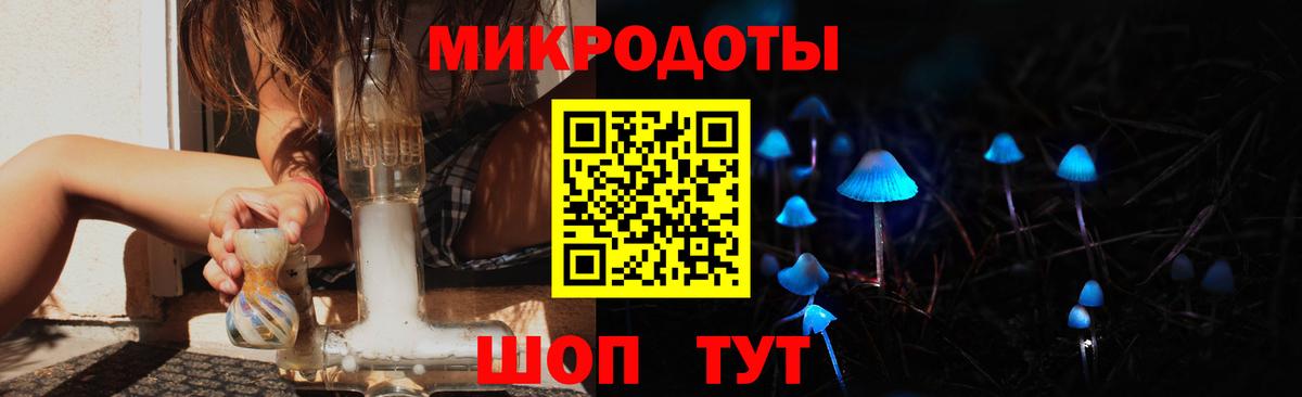 Псилоцибиновые грибы Psilocybine cubensis Бердск